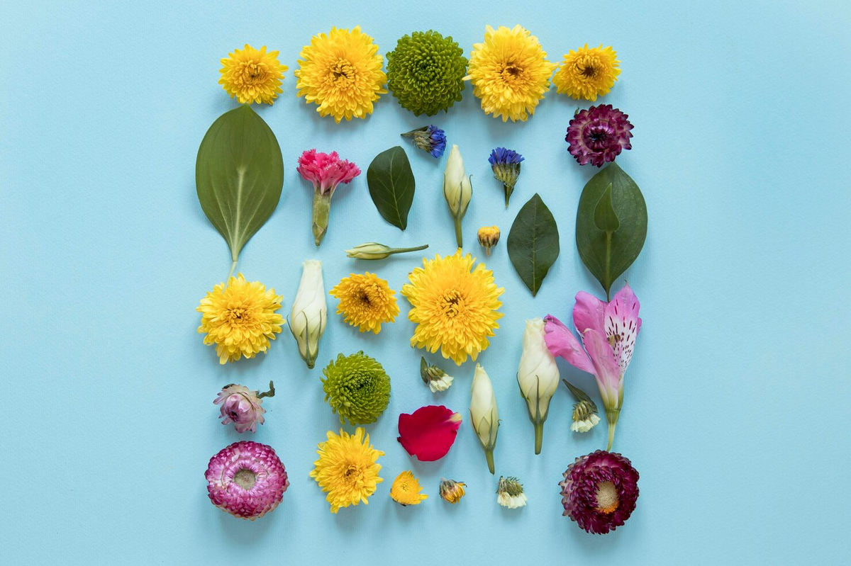 flower color meanings