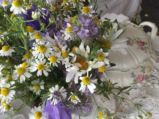 april birth flower