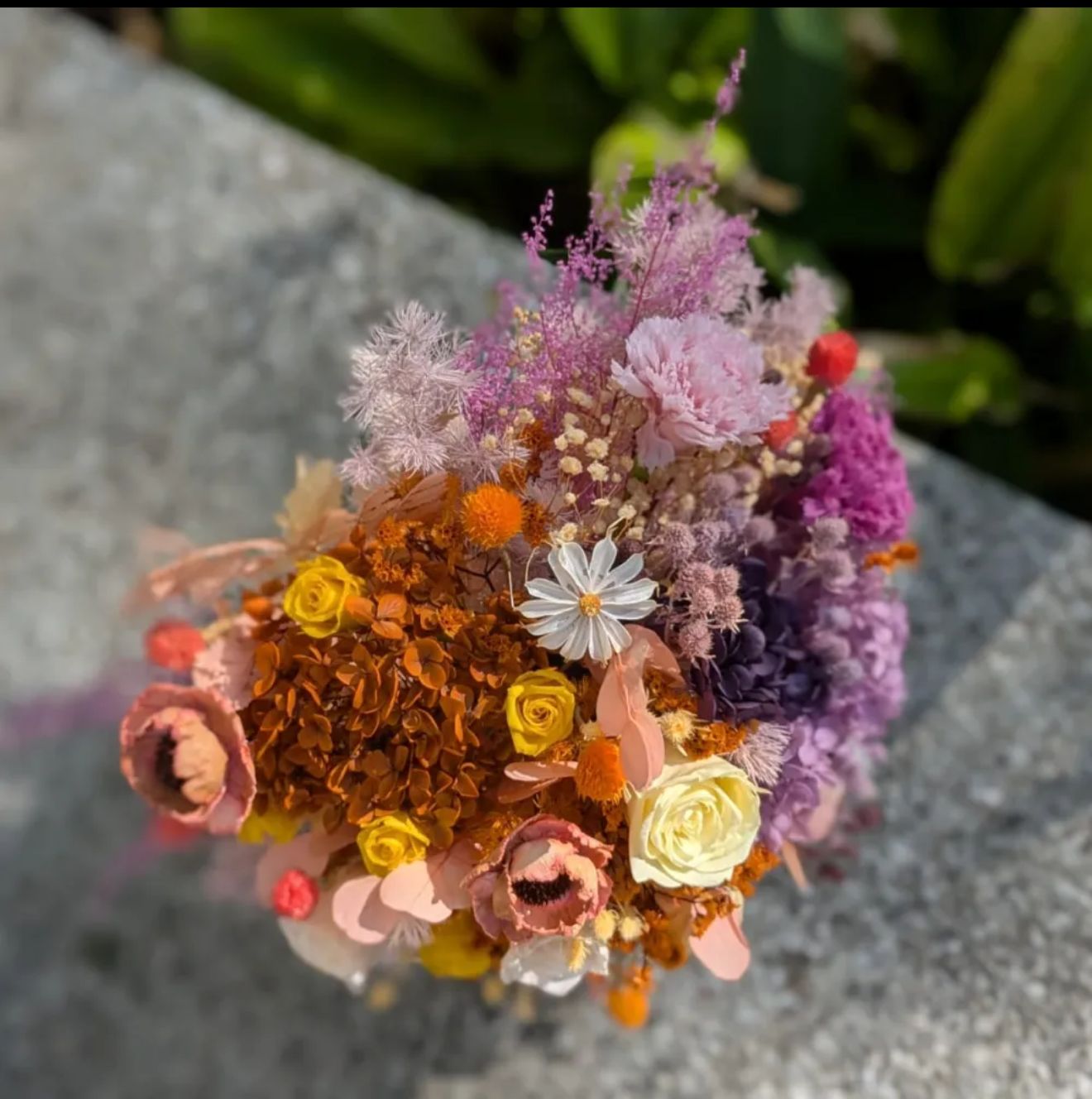 Momoko Flower Endless Summer