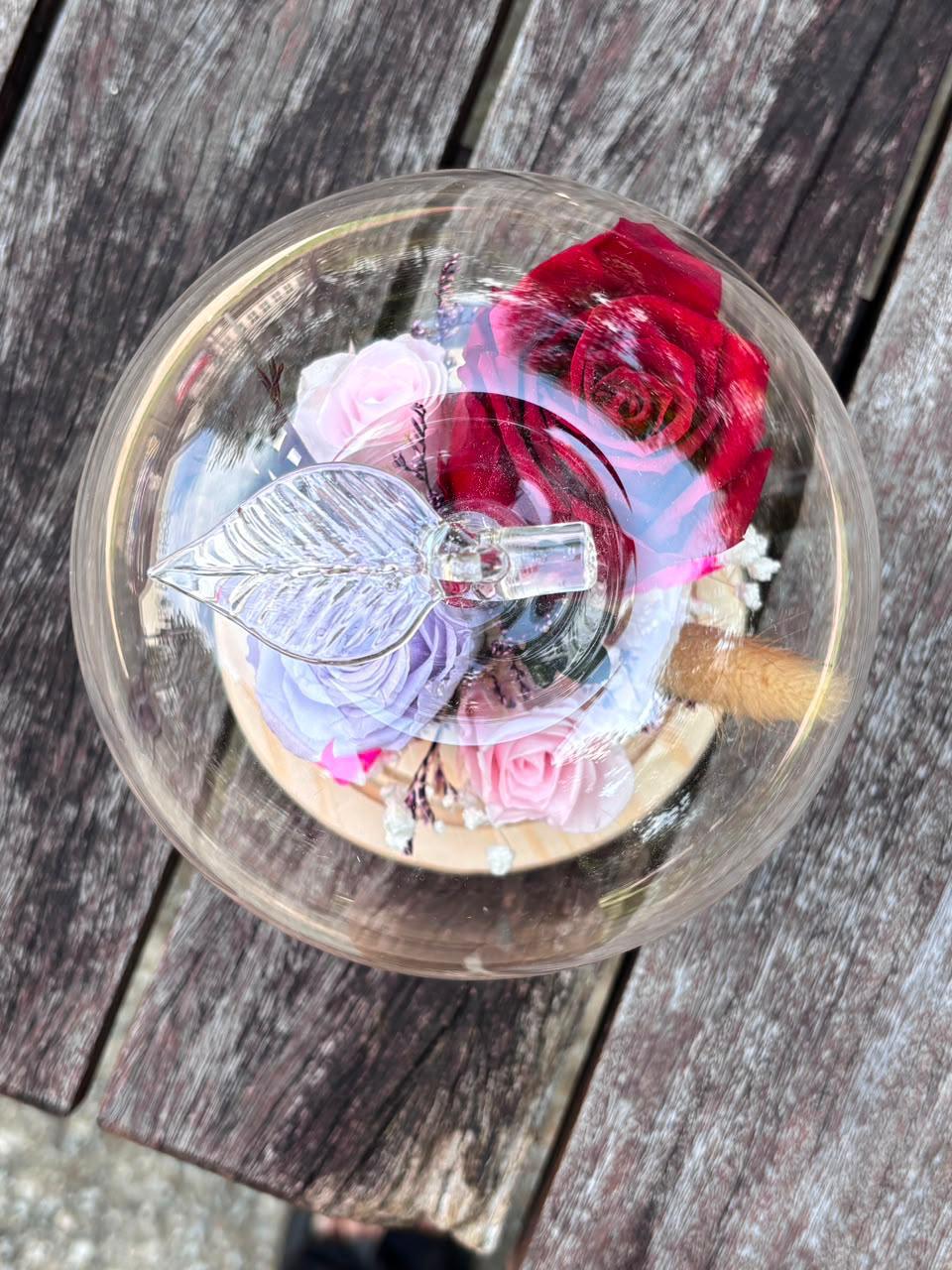 Momoko Apple of My Eye Flower Dome