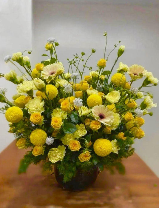 Momoko Flower Flora Melody Arrangement